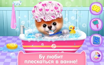 Бу - Самая милая собачка! screenshot №4